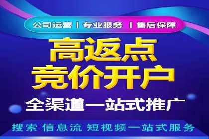 SEM代理助力品牌：案例解析，优化策略全揭秘